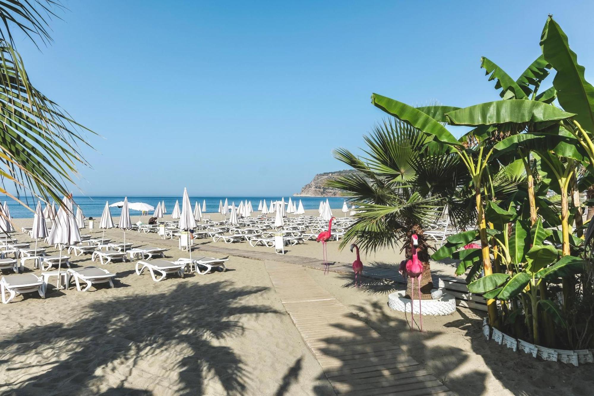 Blue Wave 4* Alanya